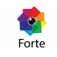 Forte Group Nigeria logo - Similar company to Inhud