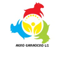 AGRO GANADERO LS logo - Similar company to Agro & Consul