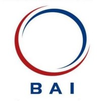 British American Investments logo - Similar company to Laravel Moris