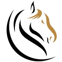 Stallion International Group logo - Similar company to Bhaskar Wellness Pvt. Ltd.