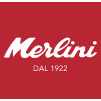 MERLINI logo - Similar company to Act 1 Events