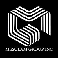 Mesulam Group Inc. logo - Similar company to Mesulam Group