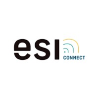 ESI Connect logo - Similar company to Branco Cavaleiro & Associados, Lda