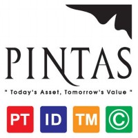 Pintas Ip Group