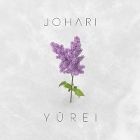 Johari logo - Similar company to Ohdcorp