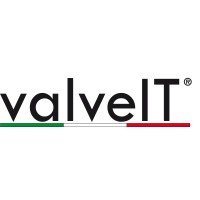 valveIT srl logo - Similar company to Dky Valves & Controls