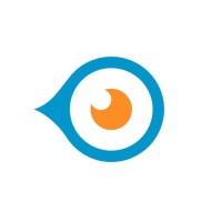 NetVizura logo - Similar company to Soneco D.O.O.