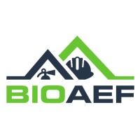 Bio AEF - Bio Architecture Engineering Fire logo - Similar company to Edilbiocasa