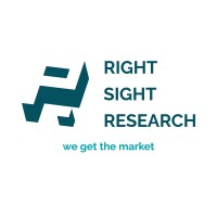 Right Sight Market Research Pvt. Ltd. logo - Similar company to Veracity Data Solutions