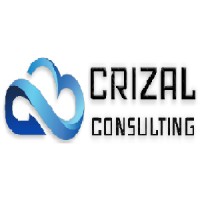 Crizal Consulting Services logo - Similar company to Acs Private Limited