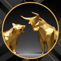 Boersencoaching.com logo - Similar company to Estably Asset Management