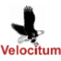Velocitum logo - Similar company to Ipclock