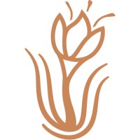 Saffron Trust Women's Foundation logo - Similar company to Brave Communities