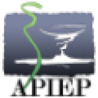 APIEP logo - Similar company to Aje Pharma (Association Junior Etudes)