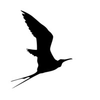 Today Zurich AG logo - Similar company to Swiss Foy