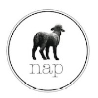 Nap Baby logo - Similar company to Biu Supply