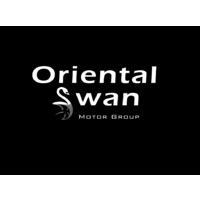 Oriental Swan Motor Group Ltd logo - Similar company to Dfsk Hk