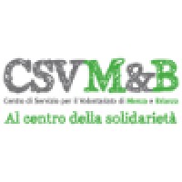 CSV M&B logo - Similar company to Velynt Global