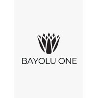Bayolu One Investments logo - Similar company to Neomatician