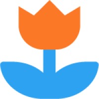 Toerist In Nederland