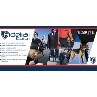 Fidelia Corp sécurité logo - Similar company to Cronosécurité