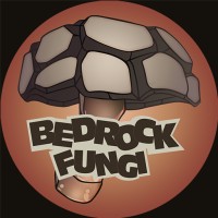 Bedrock Fungi logo - Similar company to Hunu Interactive