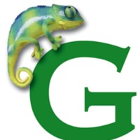 Gamma Case logo - Similar company to Marcello Bellini Srl