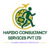 Hapido Consultancy services Pvt. Ltd logo - Similar company to Tecqubes Pte Ltd