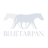 Bluetarpan logo - Similar company to Duraj Wnętrza