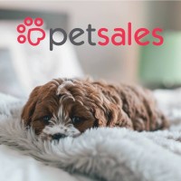 Petsales logo - Similar company to Petsales.Com.Au