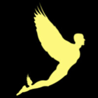 The Speed Reading in Flow Coach logo - Similar company to Iris Reading