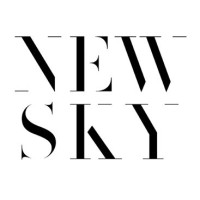 New Sky Group logo - Similar company to Howells Chartered Accountants