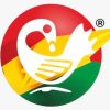 Sankofa Online logo - Similar company to Ghana Electrometer Ltd