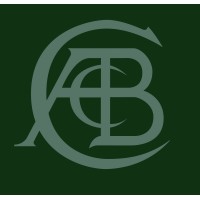 Classic Team Lotus logo - Similar company to Access Displays Ltd