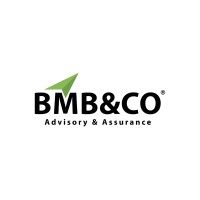 BMB & Co Saudi Arabia logo - Similar company to Bmb&Co Advisory And Assurance