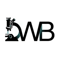 Discoveries Without Boundaries (DWB) logo - Similar company to Connecting Young Minds (Cym)