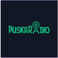 Puskaradio logo - Similar company to Stadin Ao