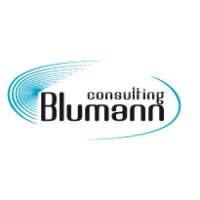 Blumann Consulting logo - Similar company to Museo Del Juguete