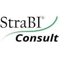 StraBI® Consult logo - Similar company to Nyco