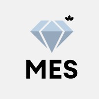 Management & Economics Society (MES) of CIM logo - Similar company to Apgo Education Foundation