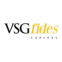 VSG Fides Capital logo - Similar company to Yhm Synergy