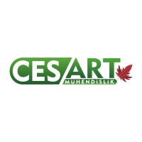 CesArt Mühendislik logo - Similar company to Cityinovy