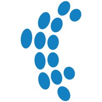 Cased Hole Well Services logo - Similar company to Cavern Solutions, Inc.