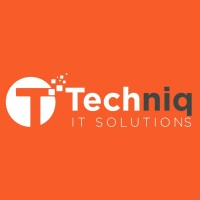 Techniq IT Solutions logo - Similar company to Techniq