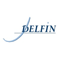Delfin Corporate Services logo - Similar company to Dataworx