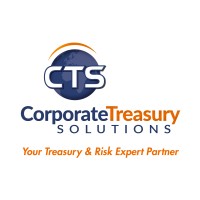 Corporate Treasury Solutions logo - Similar company to Vink Technology