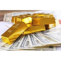 SMART GOLD TRADE logo - Similar company to Gold-Trade