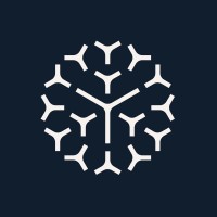 Pairpoint logo - Similar company to Strategium