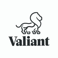 Valiant Finance logo - Similar company to Finstro