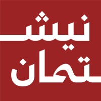 Nishtman Strategy Institute (NSI) logo - Similar company to Dechol Co